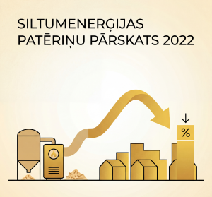 Siltumenerģijas patēriņa kopsavilkums par 2022.gadu