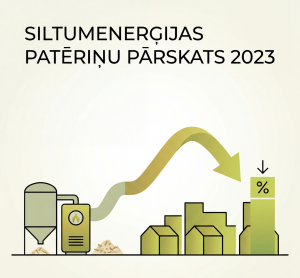 Siltumenerģijas patēriņa kopsavilkums par 2023.gadu