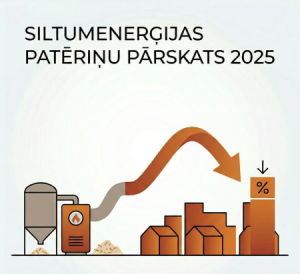 Siltumenerģijas patēriņa un apkures izmaksu pārskats par 2025.gadu