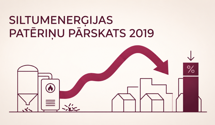 Siltumenerģijas patēriņa kopsavilkums par 2019.gadu