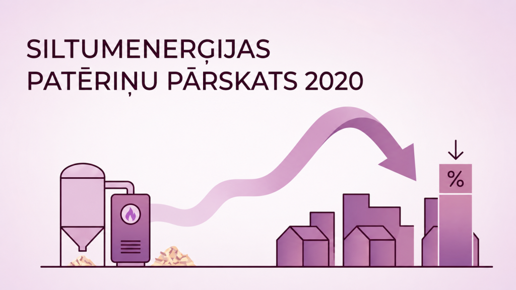 Siltumenerģijas patēriņa kopsavilkums par 2020.gadu