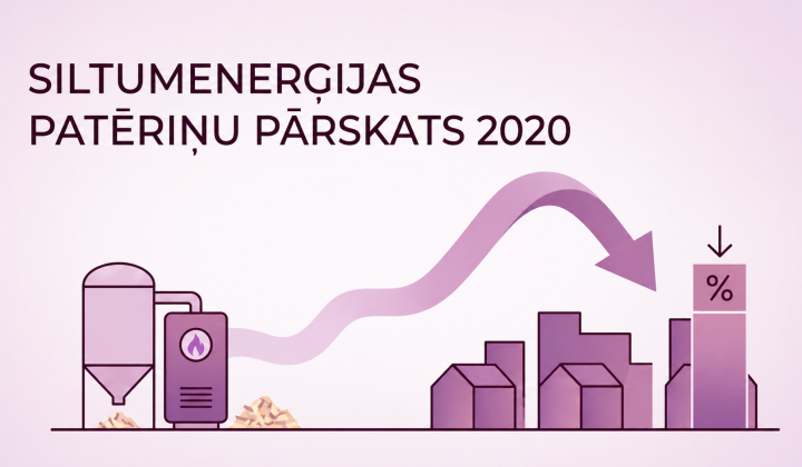 Siltumenerģijas patēriņa kopsavilkums par 2020.gadu