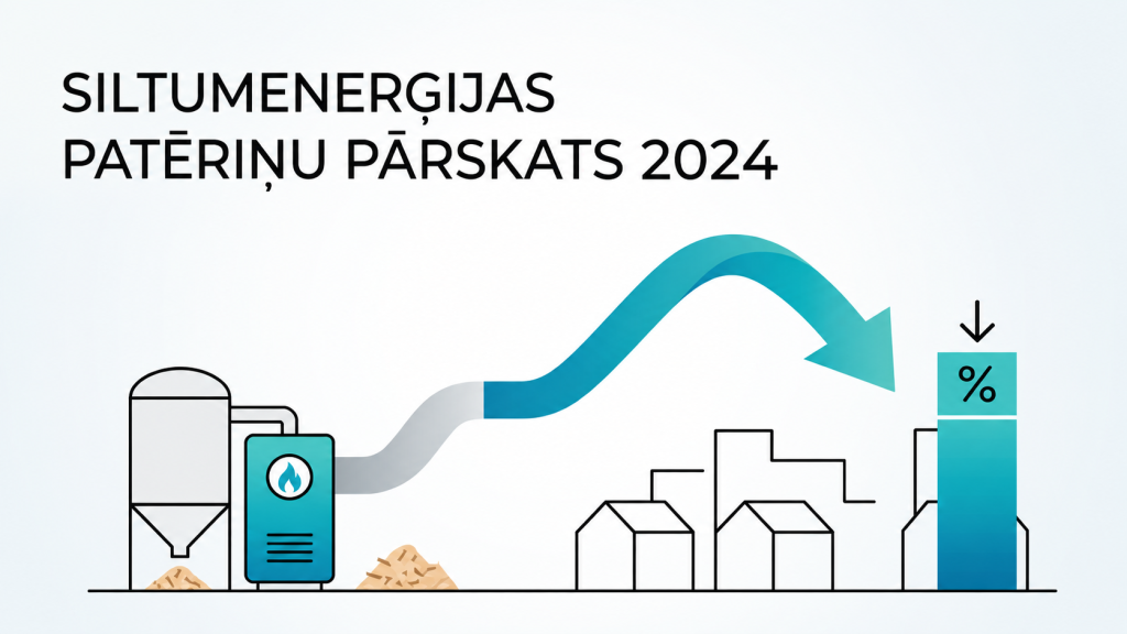 Siltumenerģijas patēriņa kopsavilkums par 2024.gadu